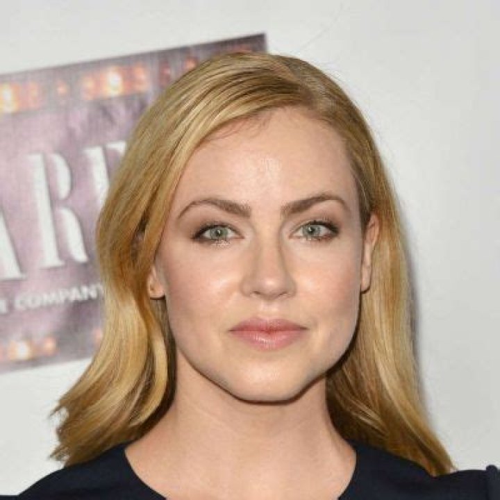 Amanda Schull Wiki, Bio, Age, Net Worth, and Other Facts Facts Five
