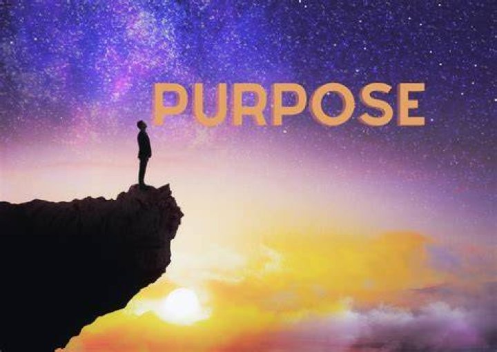 Discover Its Purpose And Effects