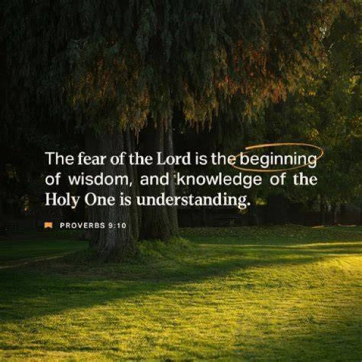Discover The Secrets To Success: African Proverbs Unveiled