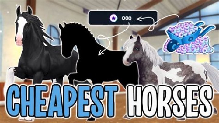 Enhance Your Horse's Style And Performance