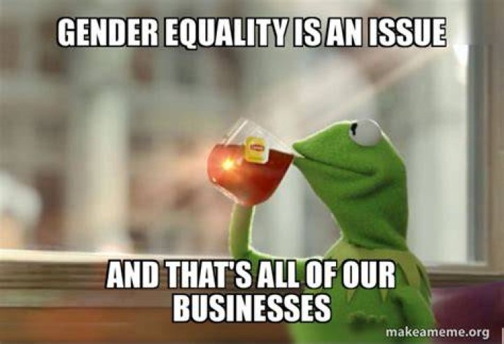 Funny memes Gender equality Free beer, Funny pictures, Gender