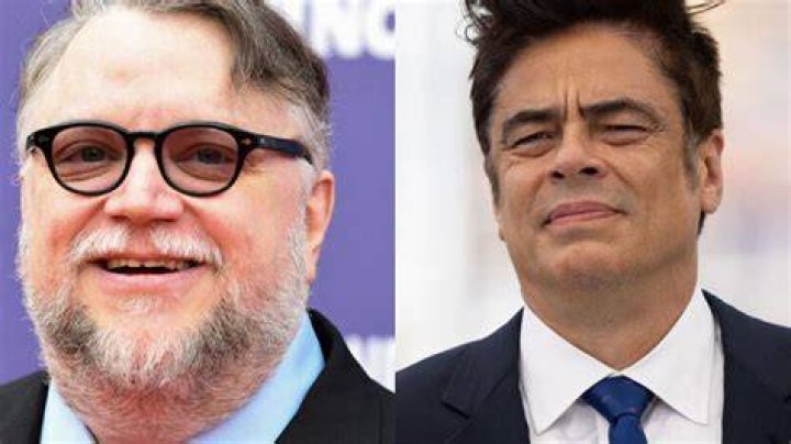 Guillermo Del Toro And Benicio Del Toro: Unraveling The Family Connection