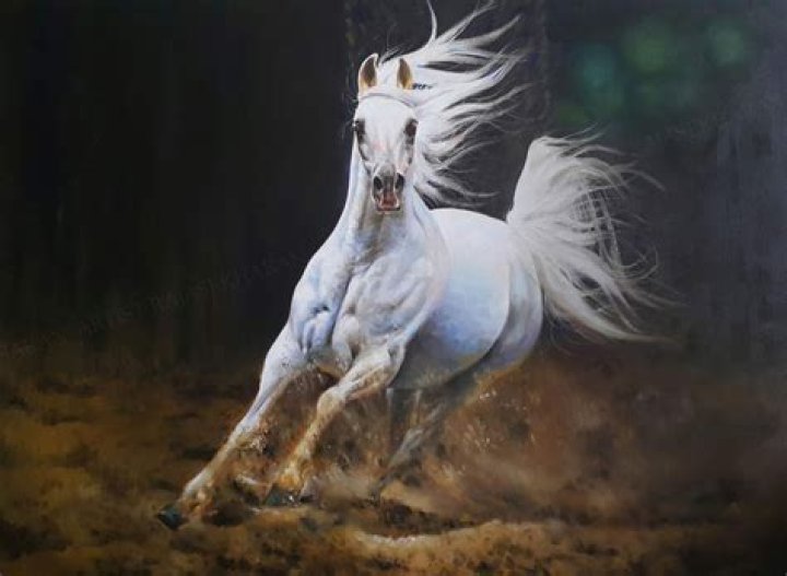 Incredible Compilation of Over 999+ Powerful Images HighQuality