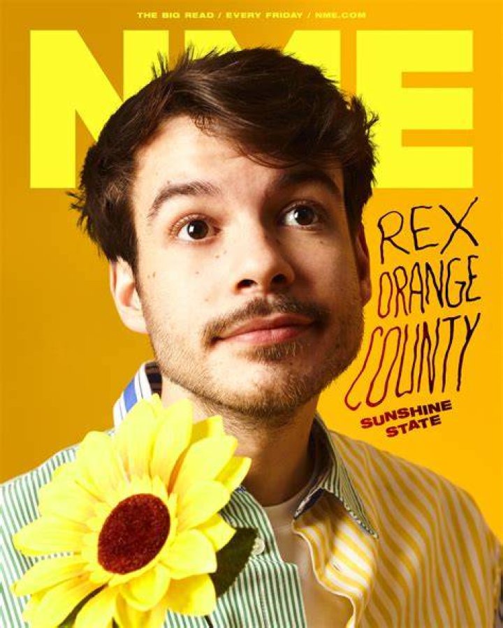 Rex Orange County interview on the wings of the Financial Times