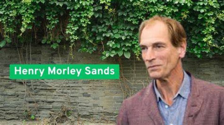 Uncover The Enchanting World Of Henry Morley Sands