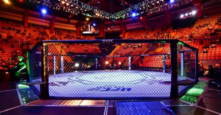 Who is rising MMA star John Gotti III the grandson of?